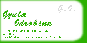 gyula odrobina business card